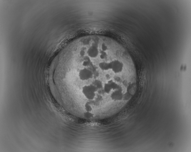 X0000114610695200911101152