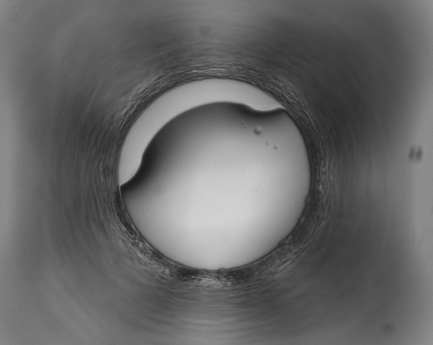 X0000114610697200911101152