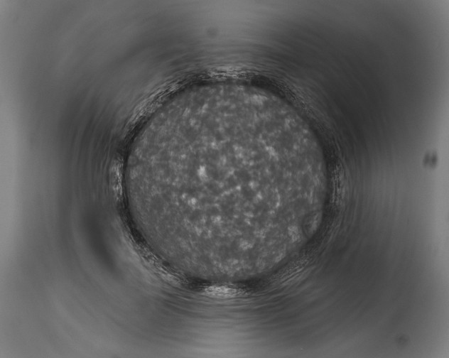 X0000114610699200911101152