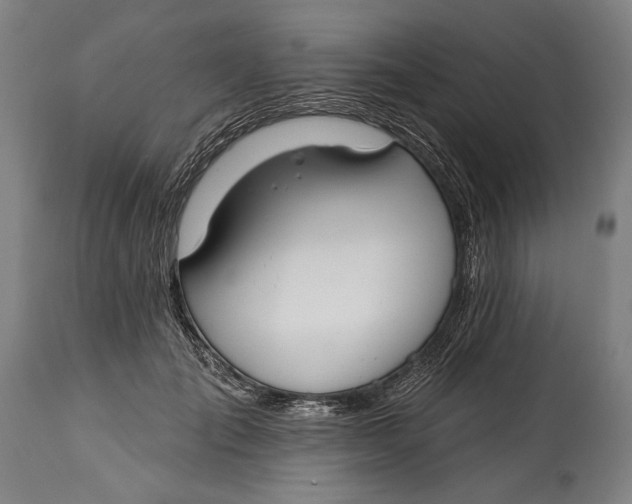 X0000114610701200911101152