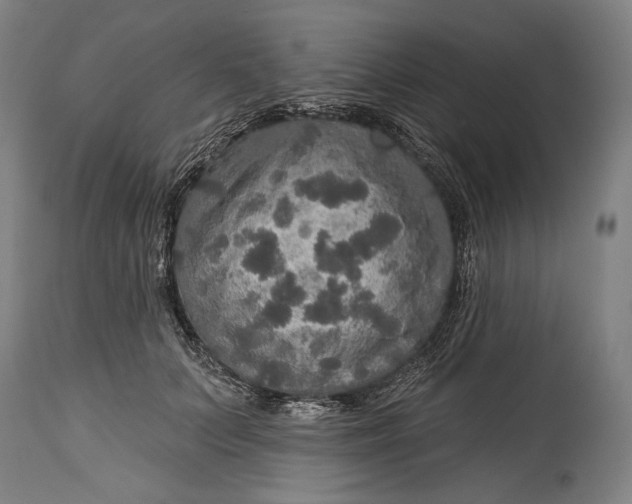 X0000114610703200911101152