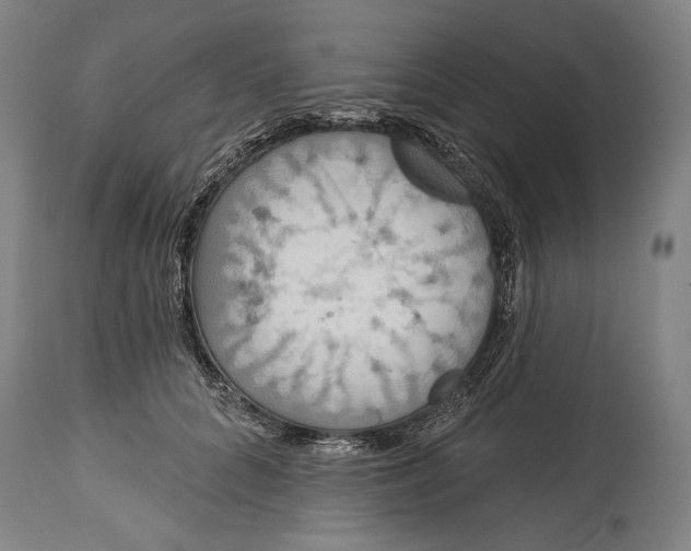 X0000114610704200911101152