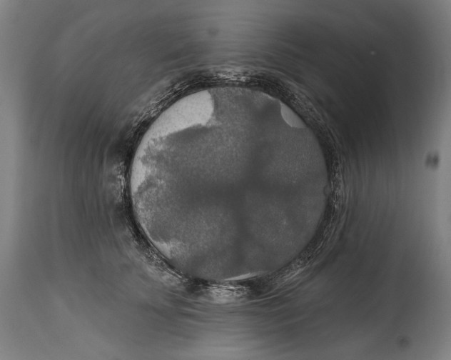 X0000114610707200911101152