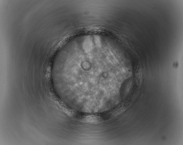 X0000114610708200911101152