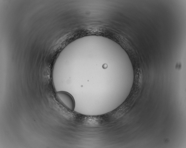 X0000114610710200911101152