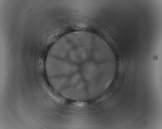 X0000114610711200911101152