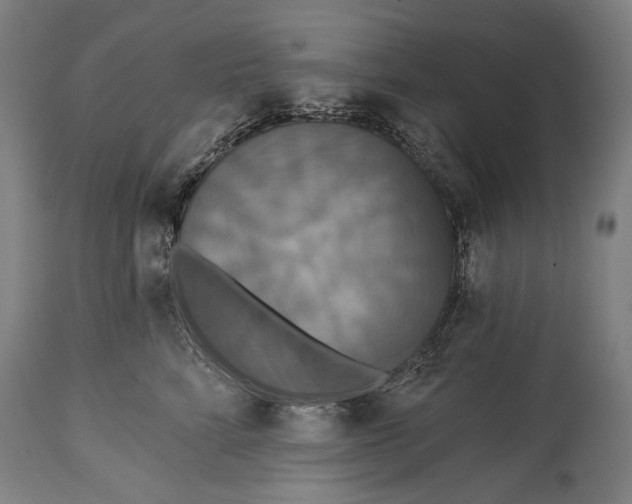 X0000114610712200911101152