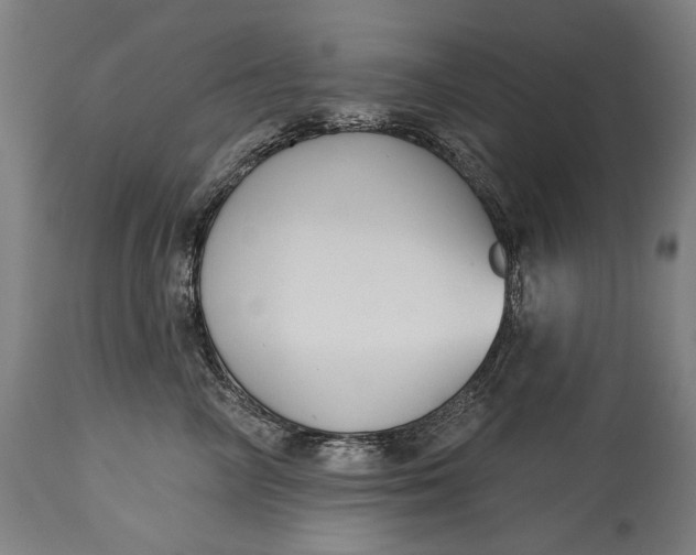 X0000114610714200911101152