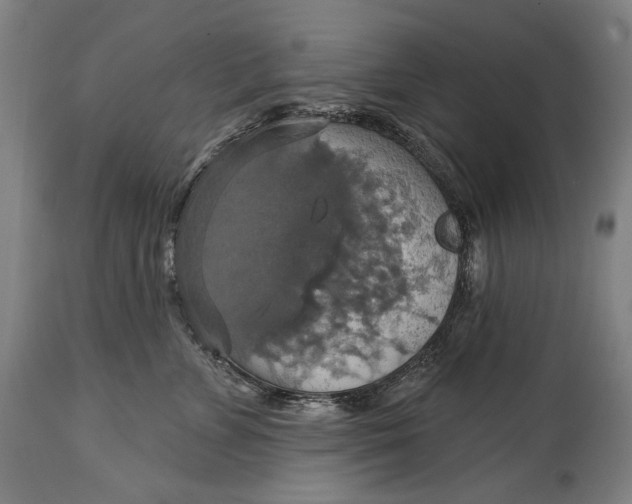 X0000114610715200911101152