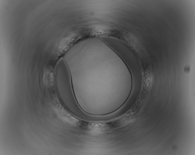 X0000114610716200911101152