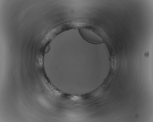 X0000114610718200911101152