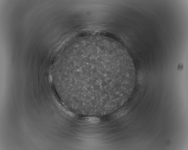 X0000114610719200911101152