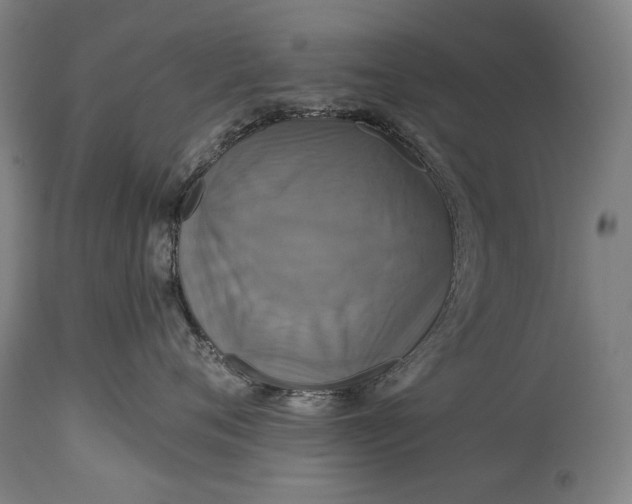 X0000114610720200911101152