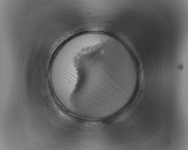 X0000114610721200911101151