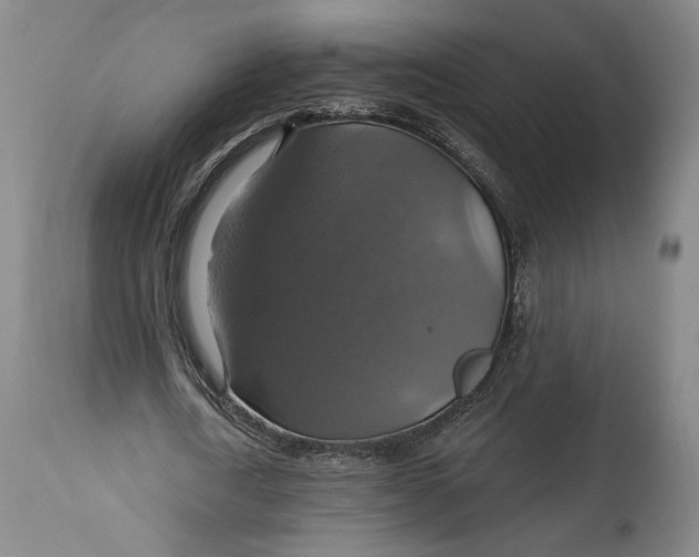 X0000114610722200911101151