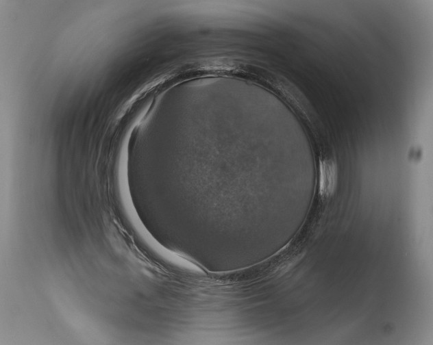 X0000114610723200911101151