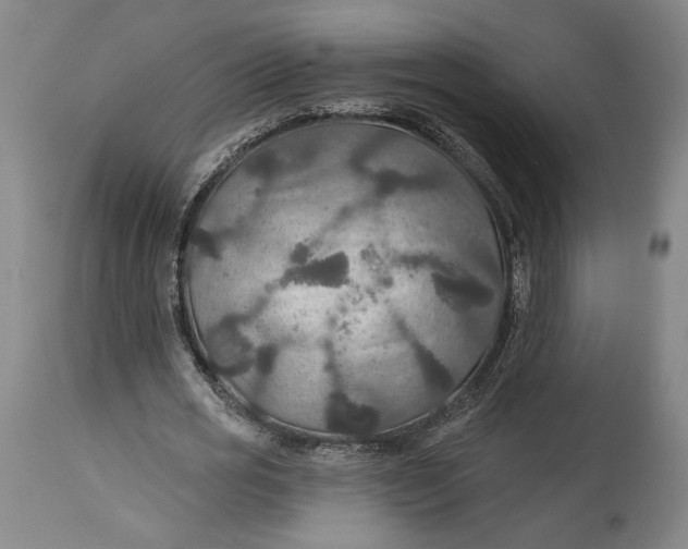 X0000114610725200911101151