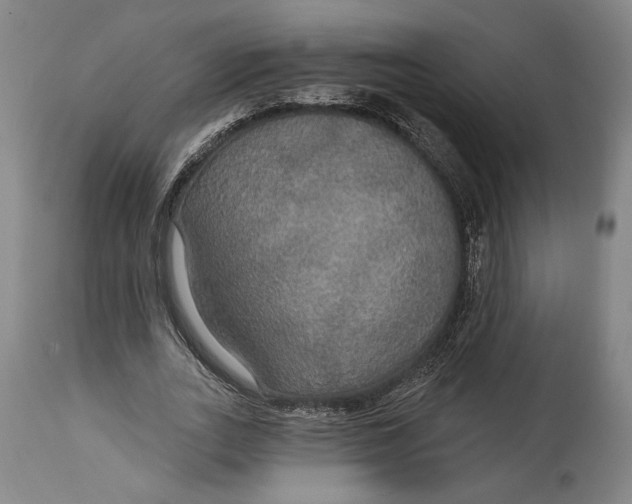 X0000114610727200911101151