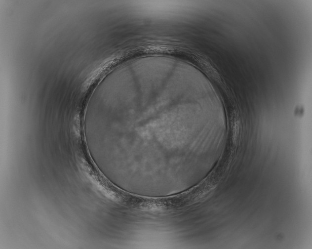 X0000114610729200911101151