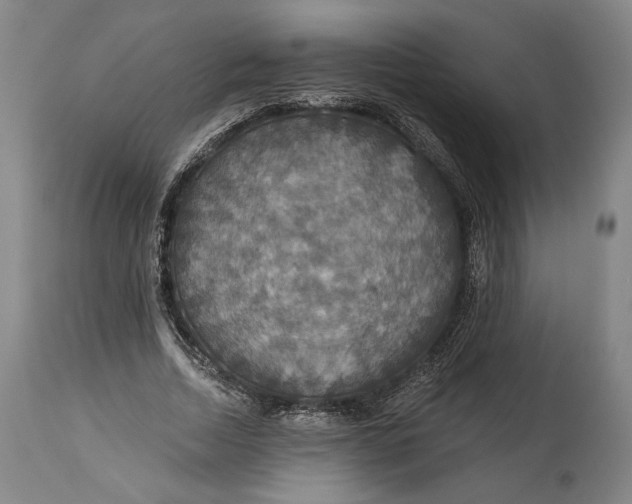 X0000114610730200911101151