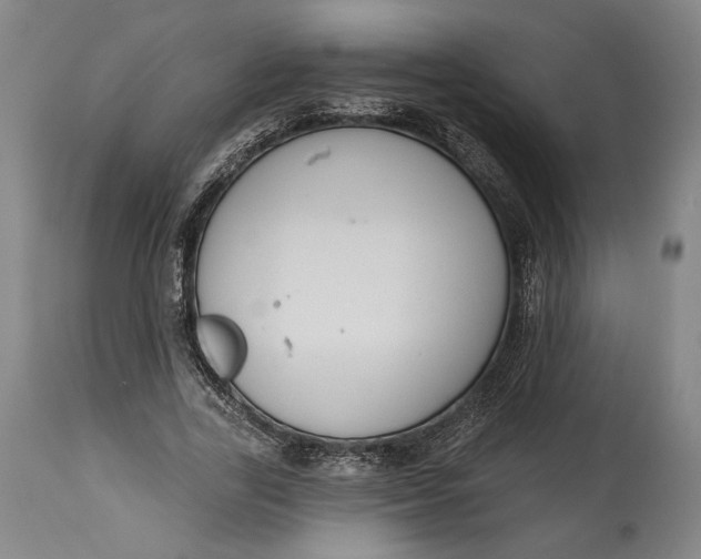 X0000114610731200911101151