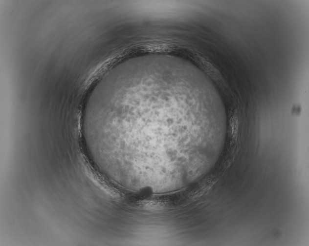 X0000114610733200911101151