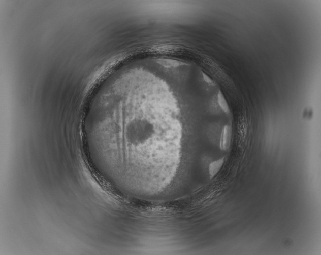 X0000114610734200911101151