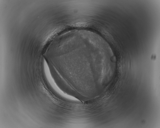 X0000114610735200911101151