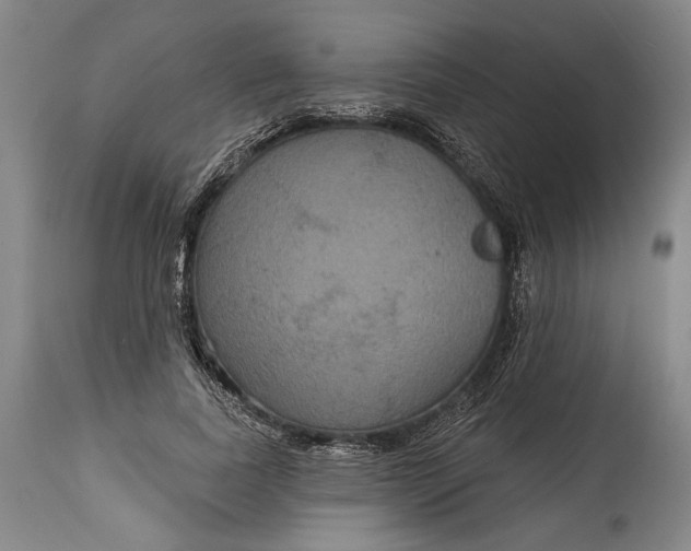 X0000114610739200911101151