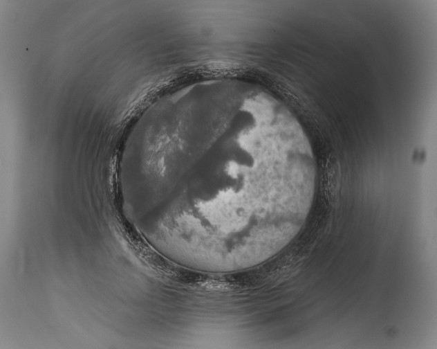 X0000114610742200911101151