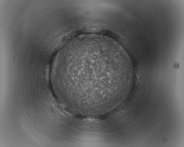 X0000114610745200911101151