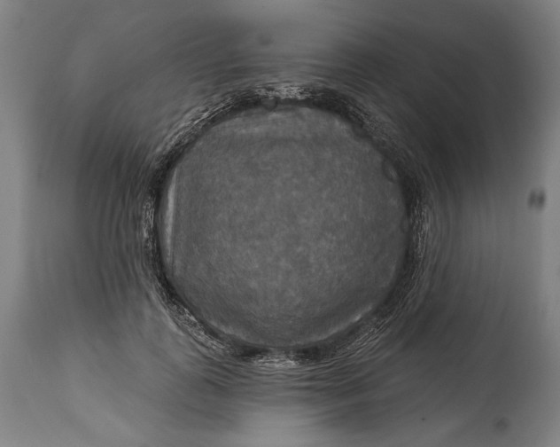 X0000114610747200911101151