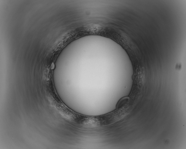 X0000114610750200911101151