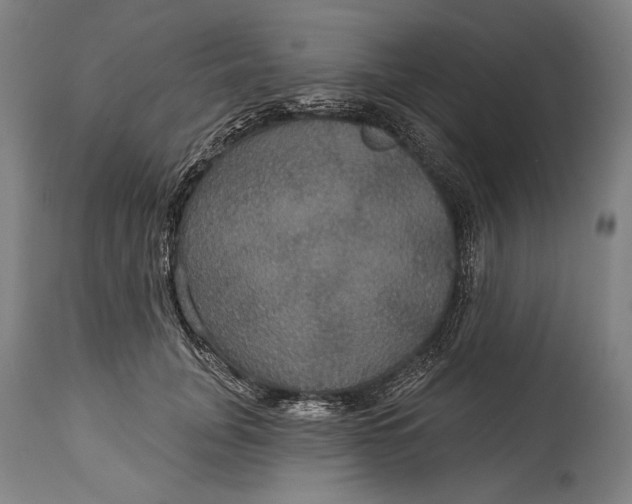 X0000114610751200911101151