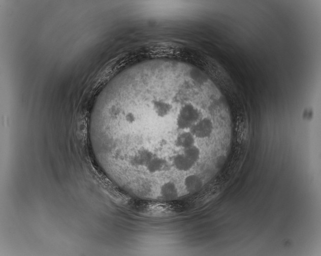 X0000114610753200911101151