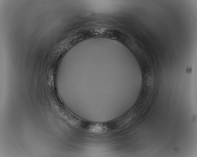 X0000114610754200911101151