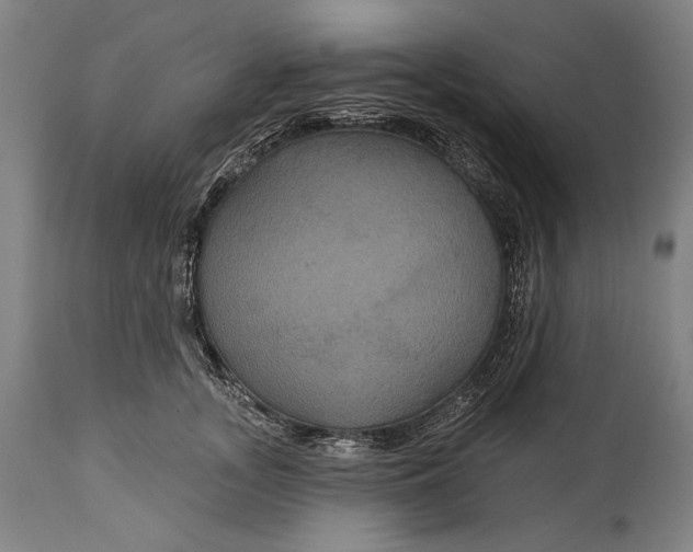 X0000114610755200911101152