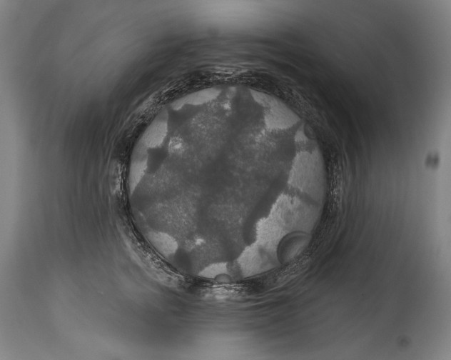 X0000114610758200911101152