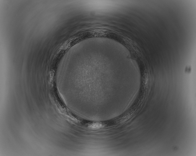 X0000114610759200911101152