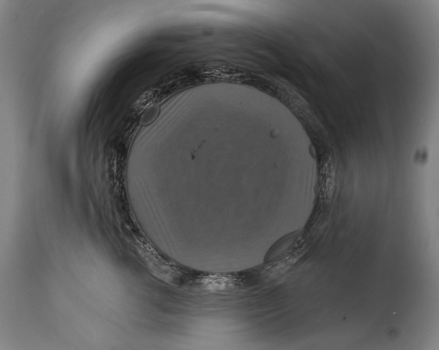 X0000114610762200911101152