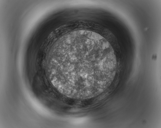 X0000114610765200911101152