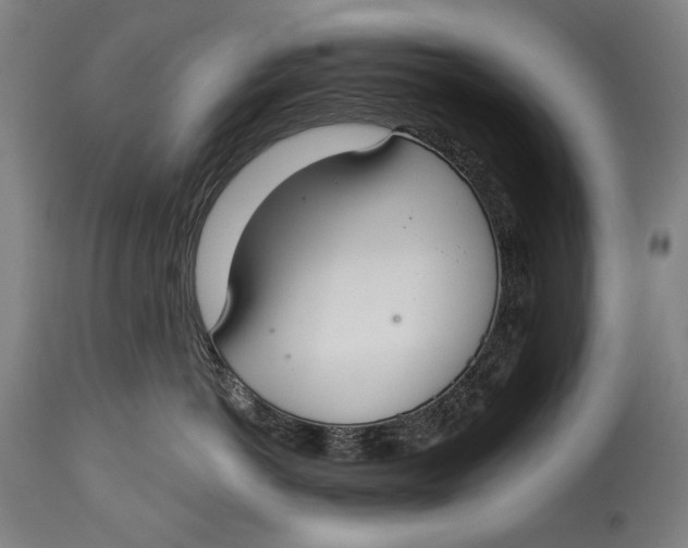 X0000114610766200911101152