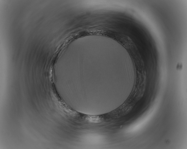 X0000114610767200911101152