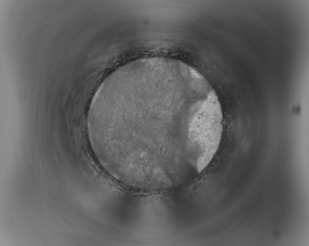 X0000114610769200911101151