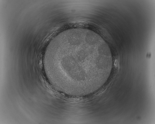 X0000114610771200911101151