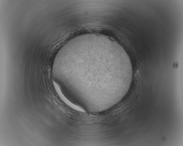 X0000114610772200911101151