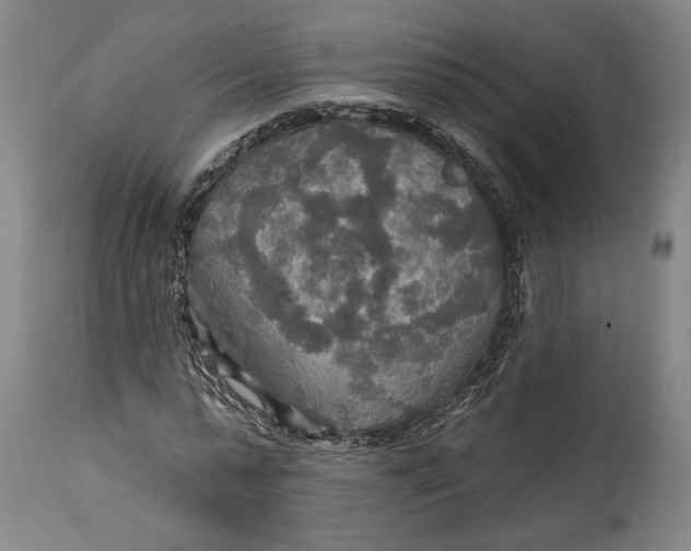 X0000114610775200911101151