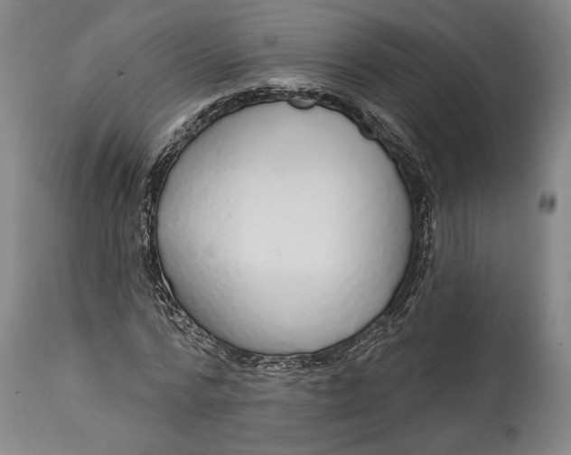 X0000114610776200911101151