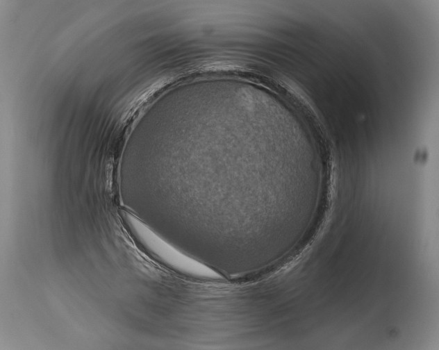 X0000114610777200911101151