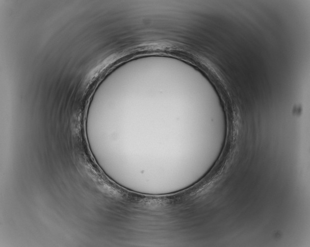 X0000114610778200911101151